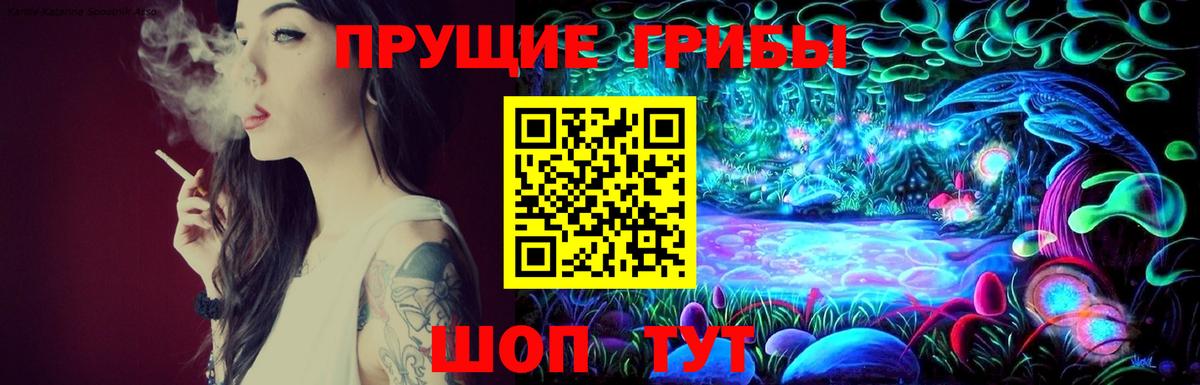 Псилоцибиновые грибы мицелий  Вход с VPN  купить закладку  Галлюциногенные грибы прущие грибы  Норильск 